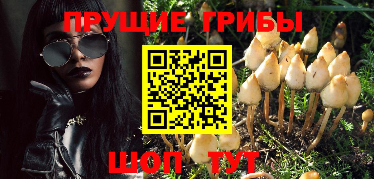 Галлюциногенные грибы Magic Shrooms  Вход с VPN  Гусев  Псилоцибиновые грибы GOLDEN TEACHER 